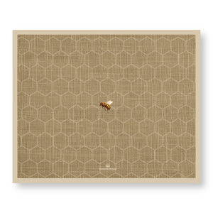 Manor Road Linen (Honeycomb) Placemats 30Pk (Case of 2)