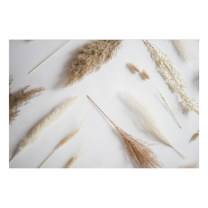 Zela Pampas Placemats 25pk (Case of 2)