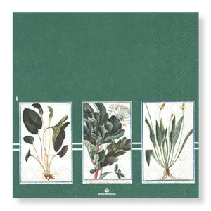 Manor Road Verde Luncheon Napkins 20Pk (Case of 6)