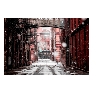 Zela Snowy City Placemats 25pk (Case of 2)