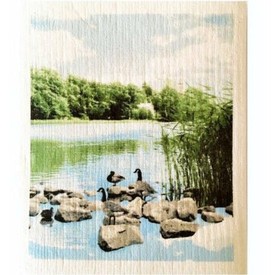 More Joy Swedish Cloth The Bay (Case of 2)